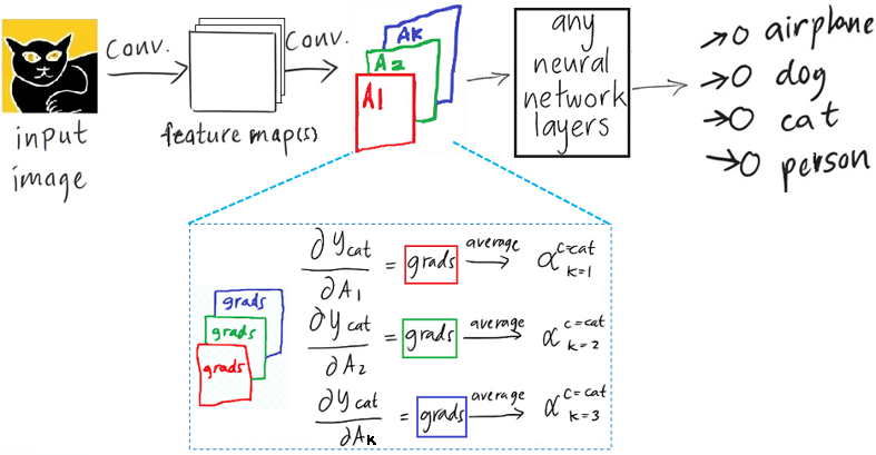 Hand-drawn diagram: feature maps A1, A2 and Ak are followed by any neural network layers; below, the gradient of the cat score with respect to each map is averaged into a weight alpha for that map