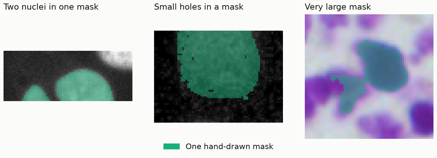 Three close-ups of hand-drawn masks tinted green: one mask covering two separate nuclei, a mask with small unlabeled specks inside it, and a mask that spreads from one nucleus over a second object