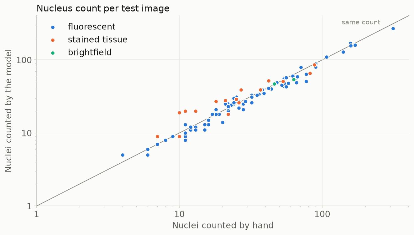 Scatter plot on logarithmic axes of the model's nucleus count against the hand count for 100 test images, colored by image type. Most fluorescent points lie on the diagonal; several stained tissue points lie above it