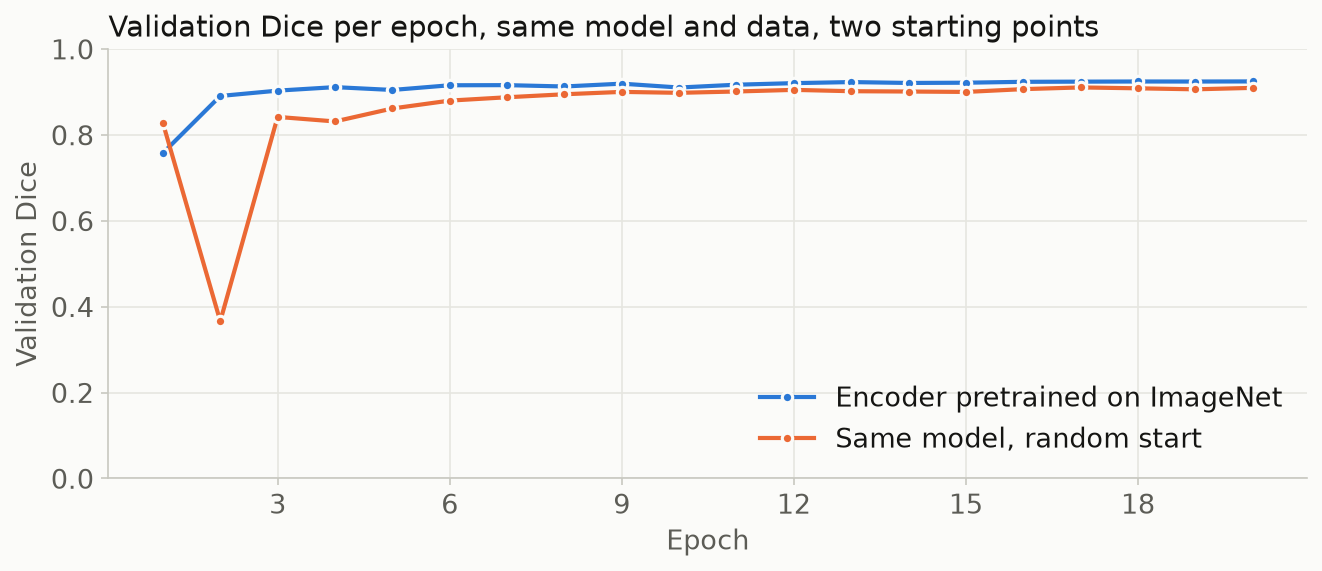 Line chart of validation Dice per epoch for 20 epochs. The pretrained model rises to about 0.9 by epoch 2 and stays slightly above the random start, which drops to 0.37 at epoch 2 before recovering